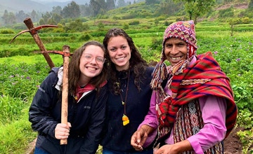 6,300+ hours conserving and reforesting the Amazon jungle every year.