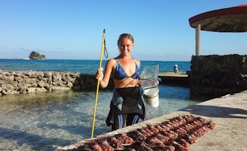 Helped remove 8,662 Invasive Lionfish from the Marine Reserve Park waters.
