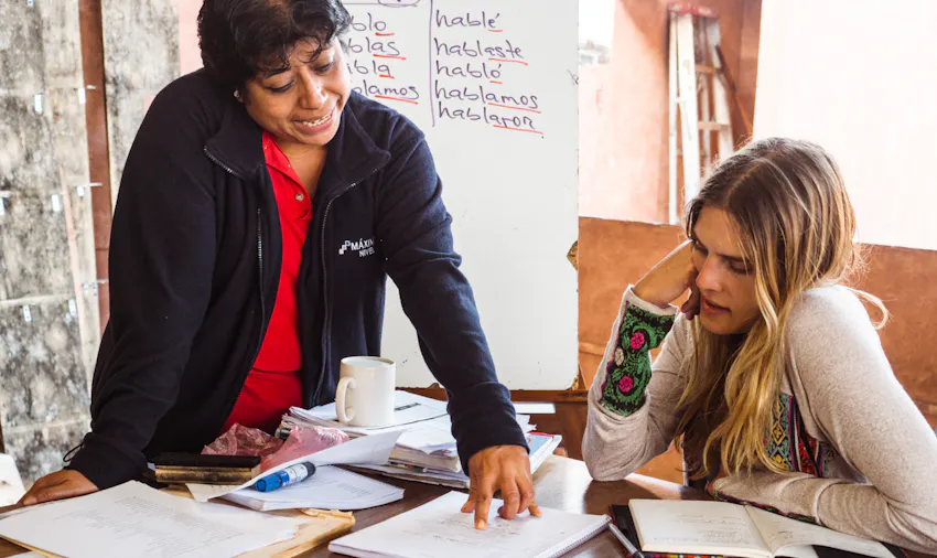 Gain course credit volunteering with IVHQ