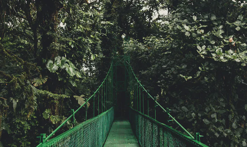 Zip lining during an IVHQ weekend in Costa Rica