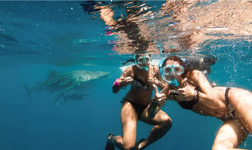 Cool volunteer opportunities include Marine conservation in Madagascar