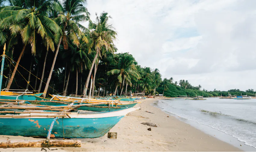 Ocean Conservation Volunteering in the Philippines with IVHQ