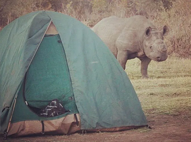 Go camping as a volunteer in Victoria Falls with IVHQ