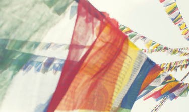 Help Nepal Digitally