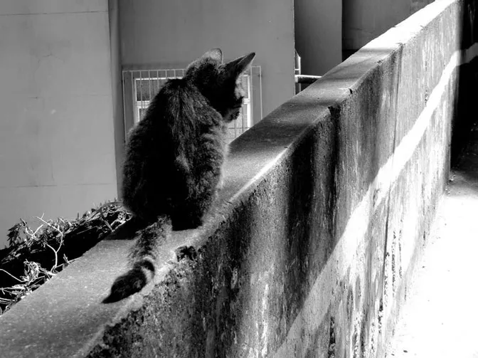 How volunteering in Brazil changed my life