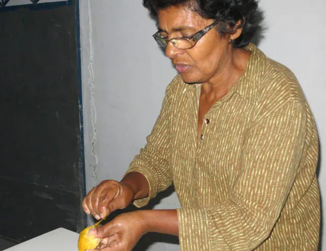 IVHQ Brazil host mother