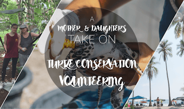 A Mother And Daughter's Take On Turtle Conservation Volunteering In Costa Rica With IVHQ