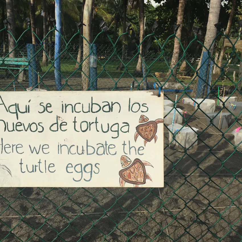 Volunteer with IVHQ in Costa Rica