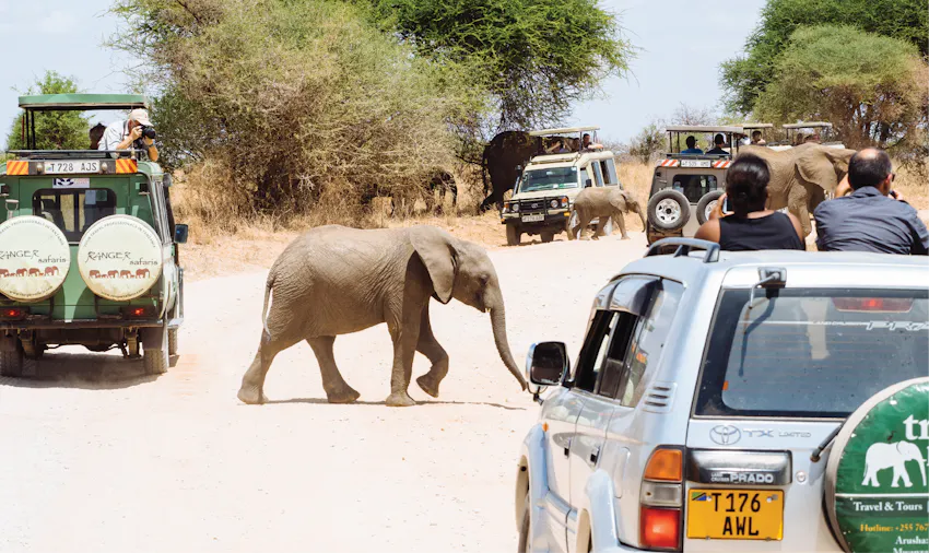 Best Summer Volunteer Abroad Programs Tanzania