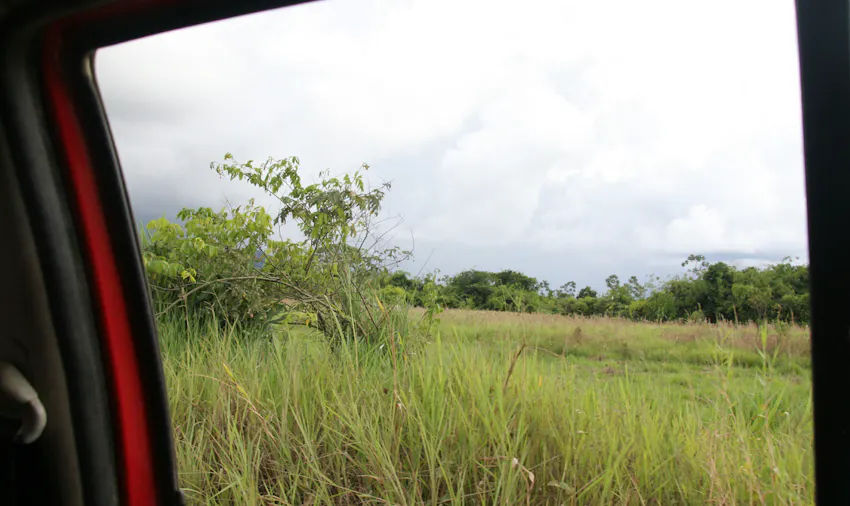 IVHQer travel blogger Carmen volunteering on the Amazon Jungle Conservation project