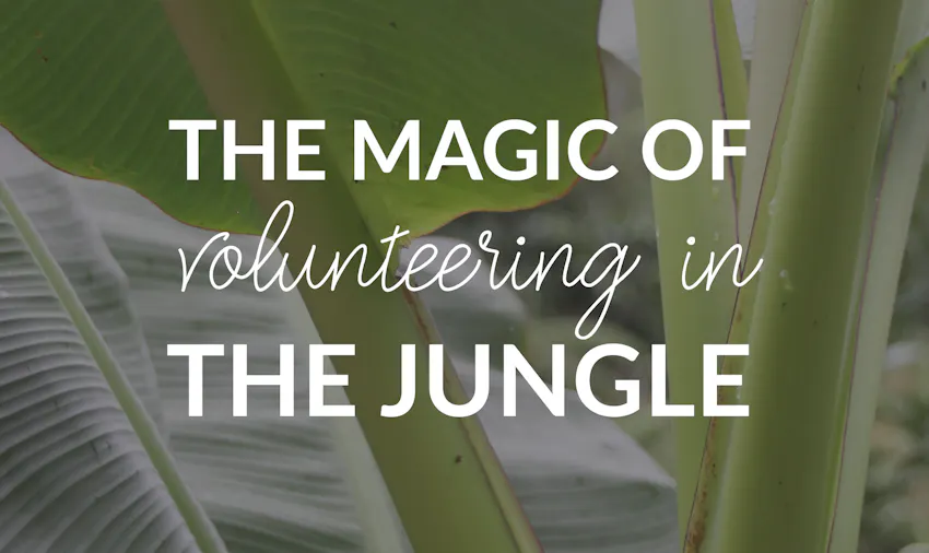 IVHQer travel blogger explains volunteering in Peru on the Amazon Jungle Conservation project