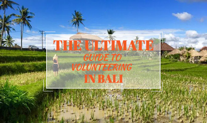 The Ultimate Guide To Volunteering In Bali