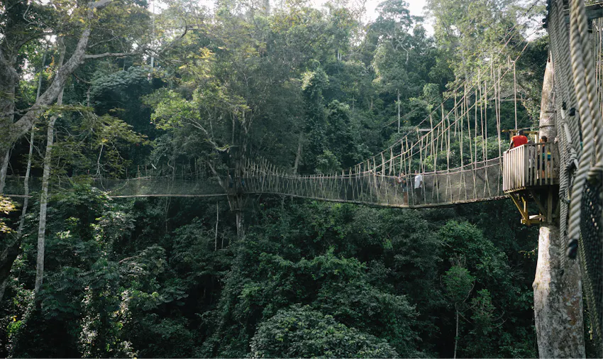 Volunteers in Ghana find Kakum National Park a great day out