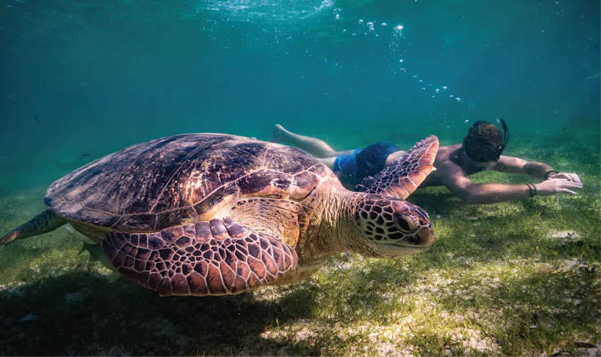 Volunteers in Madagascar can get up close and personal with an array of wildlife