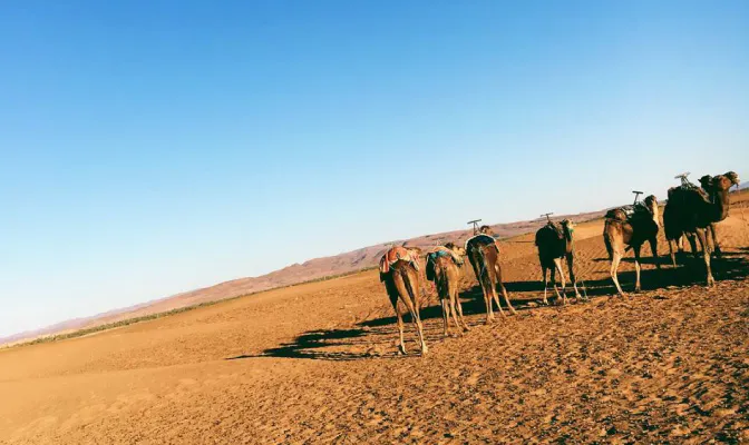 What is there to see when you volunteer in Morocco