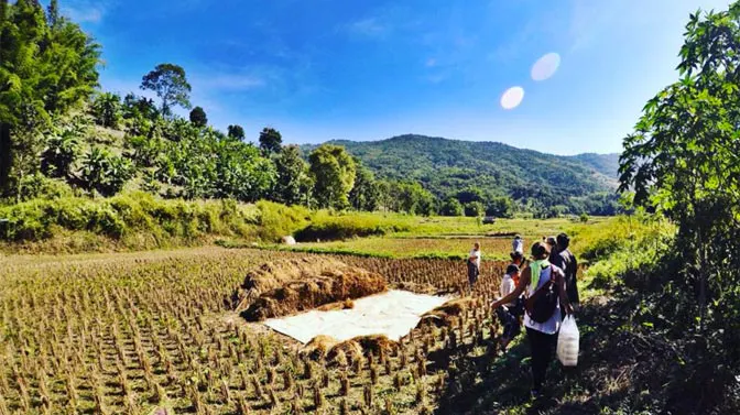 Volunteer in Thailand with IVHQ