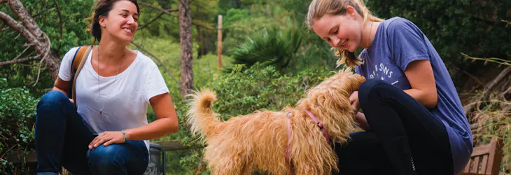 Summer Break in Spain with IVHQ