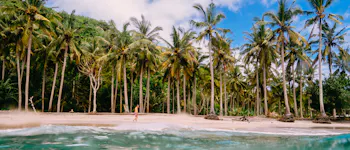 Discover the Pacific with IVHQ