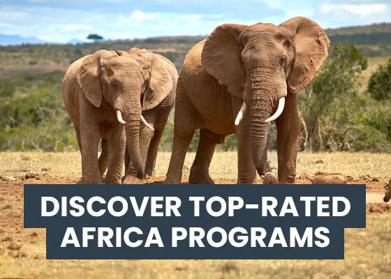IVHQ Top Africa Volunteer Programs