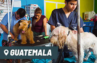 Internships in Guatemala