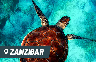 Volunteer in Zanzibar