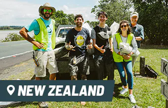 Volunteer in New Zealand