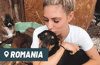 Volunteer in Romania