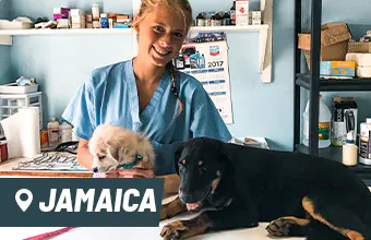 Volunteer in Jamaica