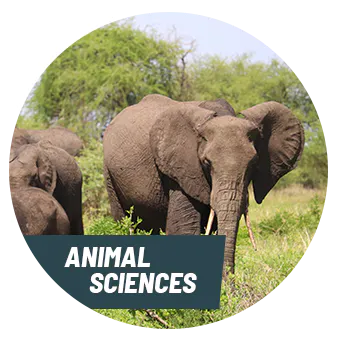 Animal Science Internships with Intern abroad HQ