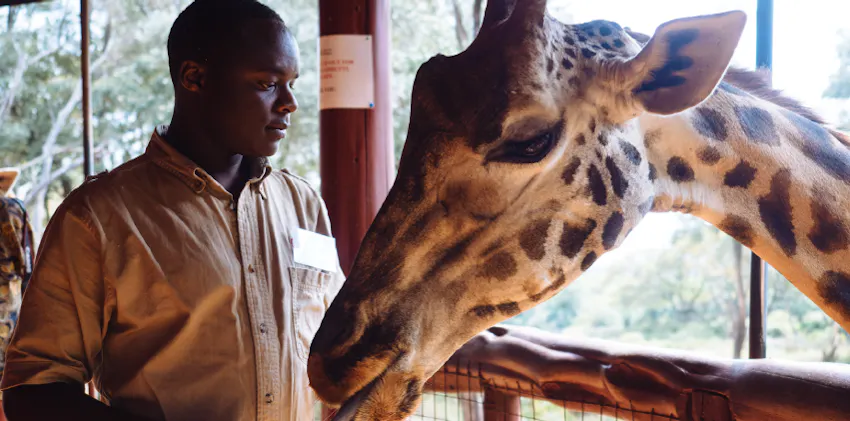European volunteers are traveling to Kenya in Spring & Summer 2026 with IVHQ.