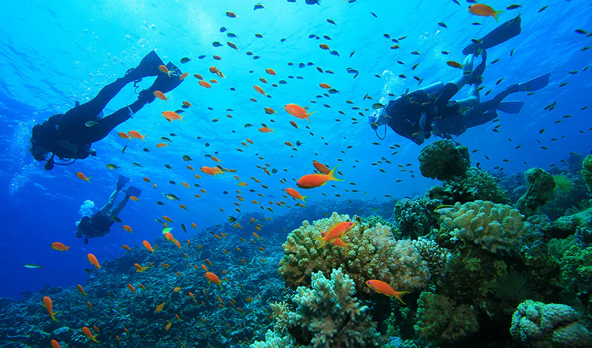 Volunteer and travel to Kenya on your winter break with IVHQ