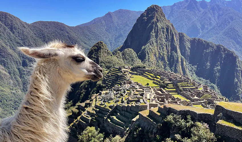 Experience the culture and people of Peru on your winter break with IVHQ