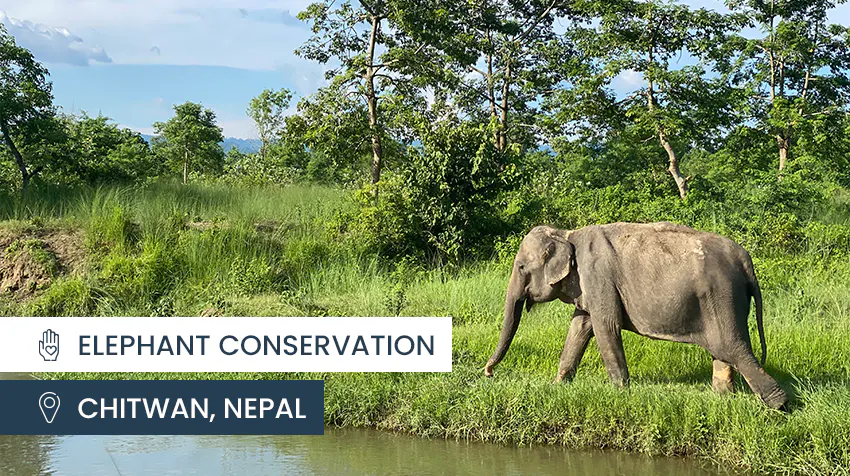 IVHQ Best hidden travel gems - Chitwan, Nepal