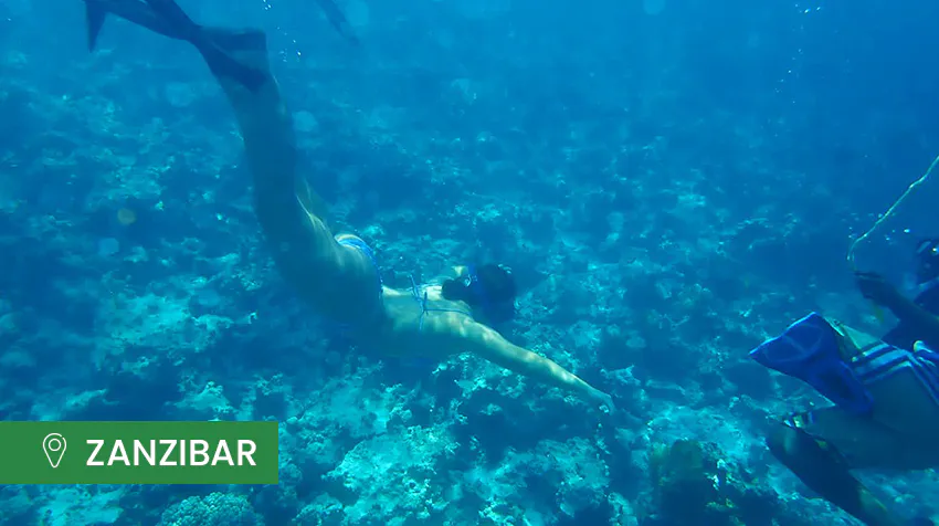 IVHQ Best hidden travel gems - Zanzibar