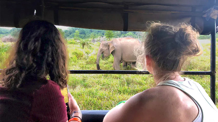 Volunteer in Sri Lanka: Pearl of the Indian Ocean with IVHQ.