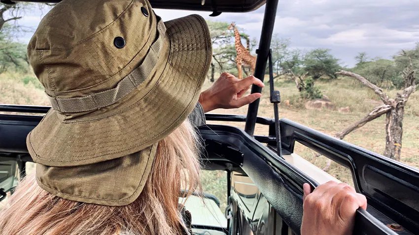 Embark on a Safari in Chobe National Park while volunteering in Botswana with IVHQ.