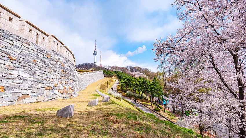 Visit N Seoul Tower while volunteering with IVHQ.