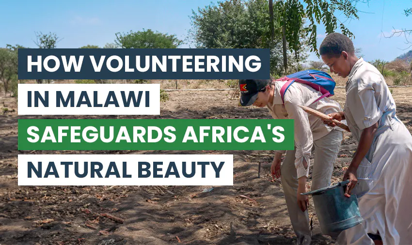 Join the Mission: Volunteer in Malawi to Preserve Africa's Natural Beauty with IVHQ.