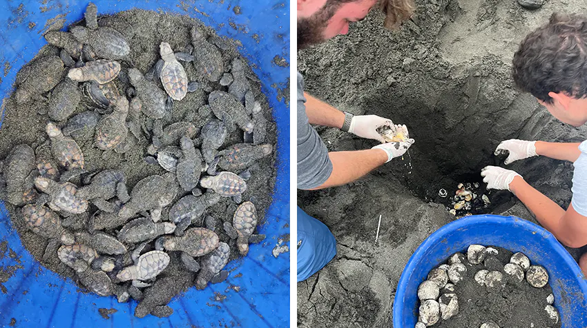 Rithanyaa and volunteers at turtle conservation project in Costa Rica with IVHQ.