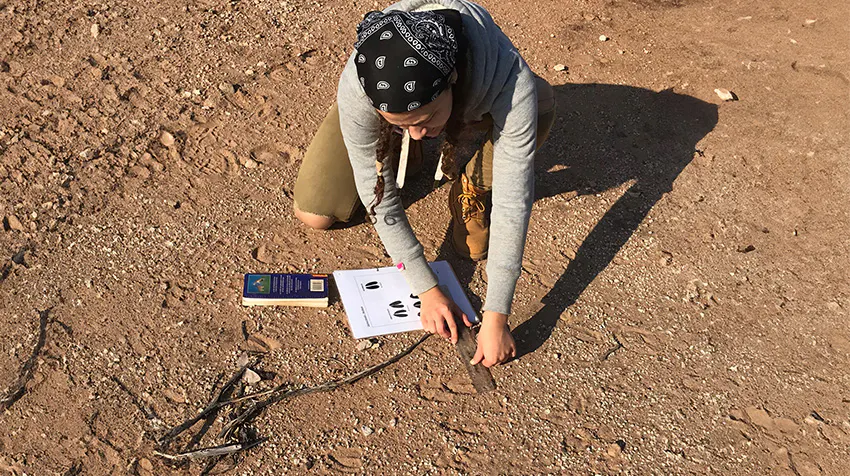 What to Expect: Gain Valuable Experience in Wildlife Conservation while volunteering in Botswana with IVHQ