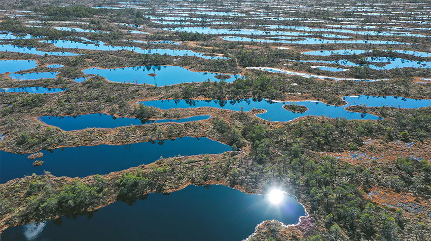 What to Expect: Exploring the Okavango Delta while volunteering in Botswana with IVHQ