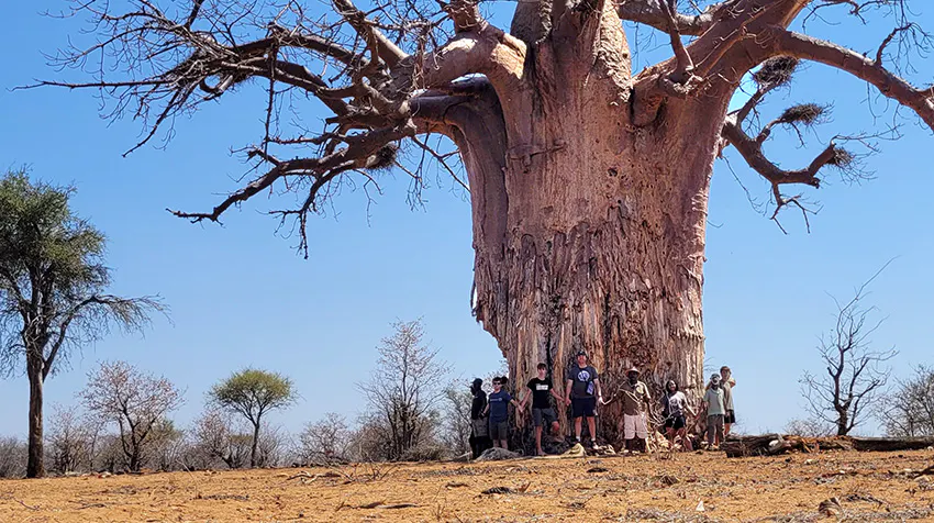 What to Expect: Exploring the Kalahari Desert while volunteering in Botswana with IVHQ