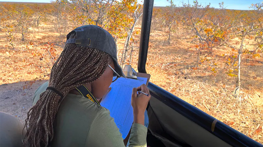 What to Expect: Contributing to Botswana’s Conservation Efforts while volunteering in Botswana with IVHQ
