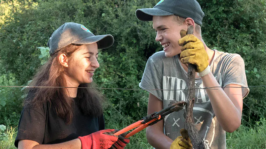 What to Expect: Overview of the Wildlife Conservation Project in Botswana while volunteering in Botswana with IVHQ