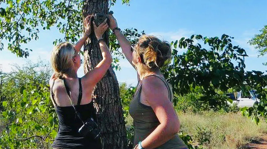 What to Expect: Expected Project Tasks for Volunteers in Botswana with IVHQ