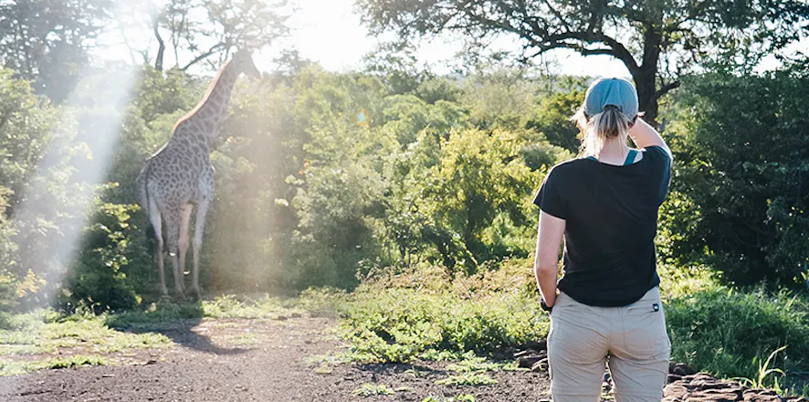 Discover Victoria Falls