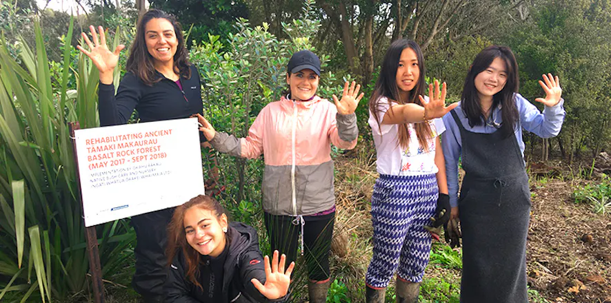 Discover New Zealand