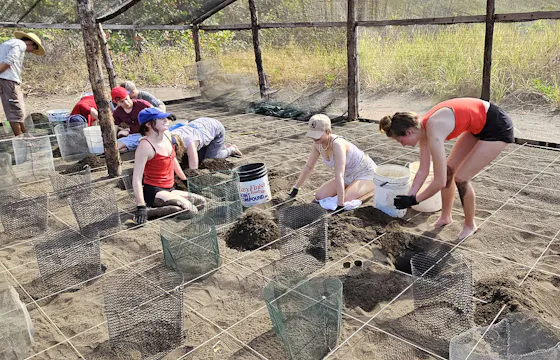 Volunteer abroad as a corporate group with International Volunteer HQ