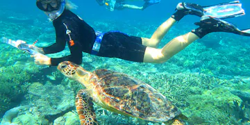 Volunteer on the Marine Conservation volunteer project in Australia with IVHQ
