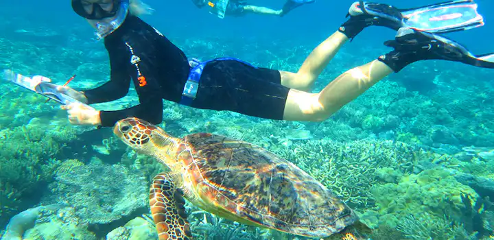 Volunteer on the Marine Conservation volunteer project in Australia with IVHQ